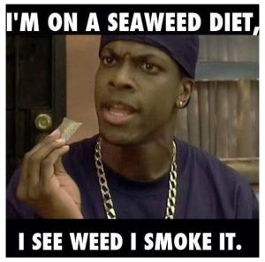 eb81a7c032c33d558ae8e949558b5093